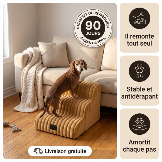 Escalier pour chien Nuage coloris Caramel placé contre un sofa beige dans un salon